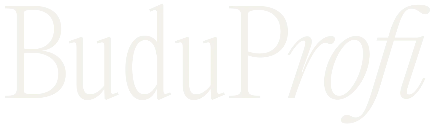 BuduProfi