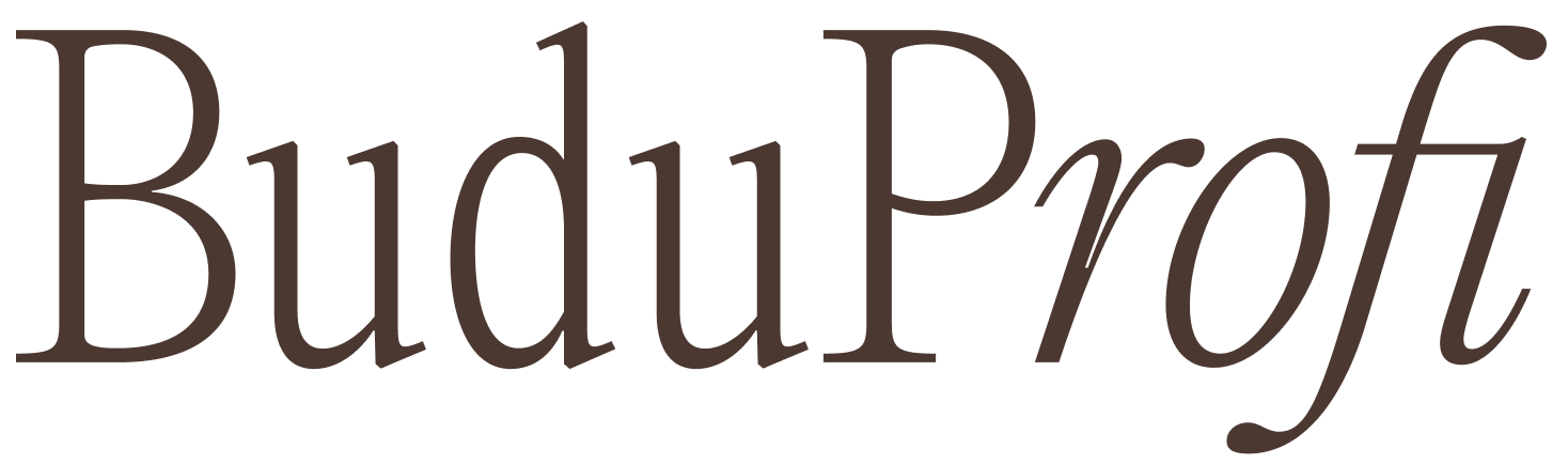 BuduProfi